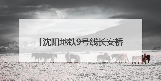 沈阳地铁9号线长安桥南街站—新立堡桥站区间右线盾构顺利始发