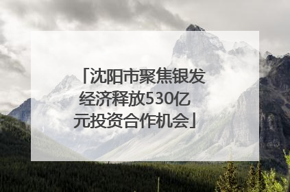 沈阳市聚焦银发经济释放530亿元投资合作机会