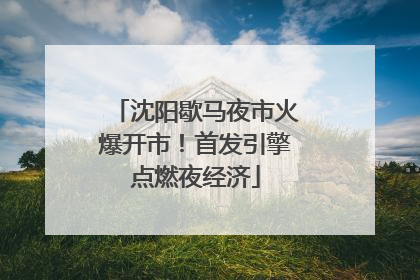 沈阳歇马夜市火爆开市！首发引擎点燃夜经济