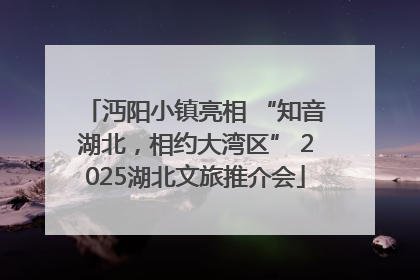 沔阳小镇亮相 “知音湖北，相约大湾区” 2025湖北文旅推介会