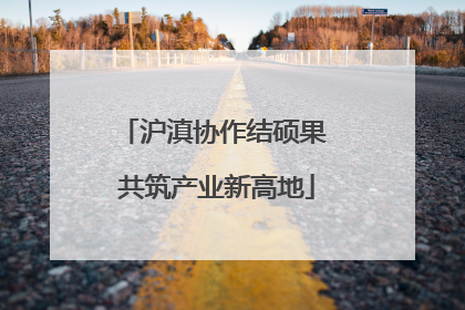沪滇协作结硕果 共筑产业新高地