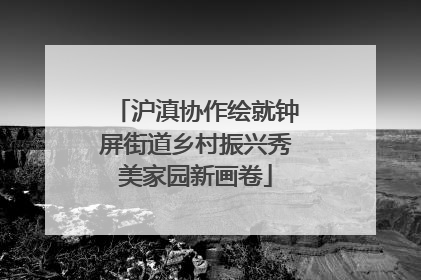 沪滇协作绘就钟屏街道乡村振兴秀美家园新画卷