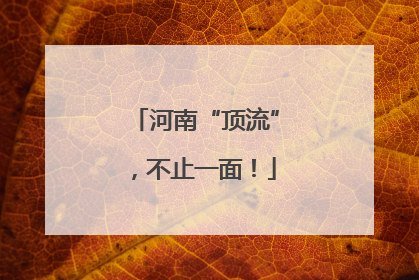 河南“顶流”，不止一面！