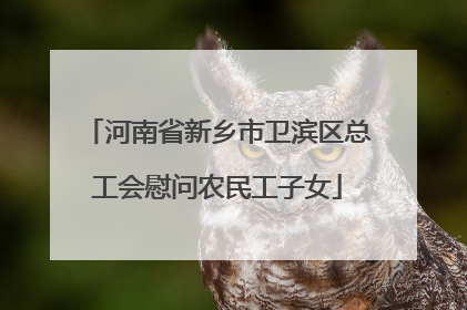 河南省新乡市卫滨区总工会慰问农民工子女