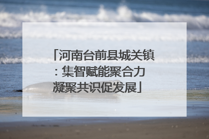 河南台前县城关镇：集智赋能聚合力 凝聚共识促发展