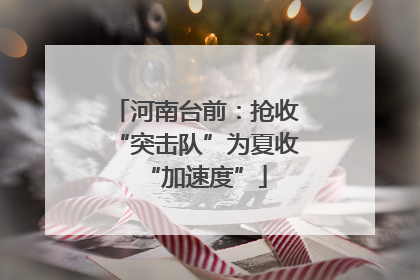 河南台前：抢收“突击队”为夏收“加速度”