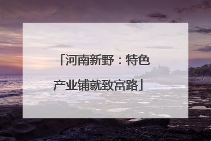 河南新野：特色产业铺就致富路