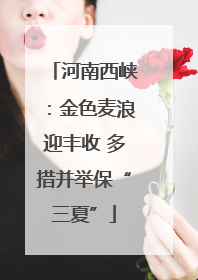 河南西峡：金色麦浪迎丰收 多措并举保“三夏”