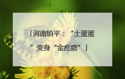 河南镇平：“土蛋蛋”变身“金疙瘩”