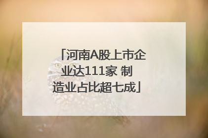 河南A股上市企业达111家 制造业占比超七成