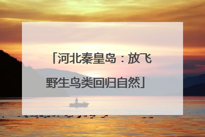 河北秦皇岛：放飞野生鸟类回归自然
