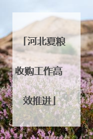 河北夏粮收购工作高效推进