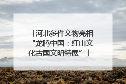 河北多件文物亮相“龙腾中国：红山文化古国文明特展”