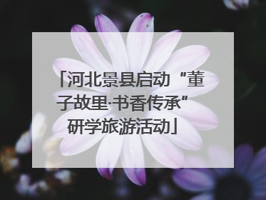河北景县启动“董子故里·书香传承”研学旅游活动