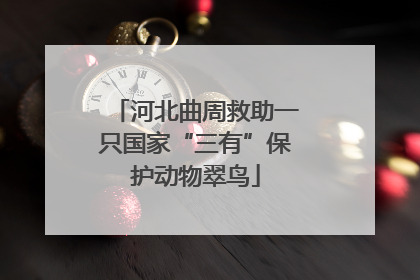 河北曲周救助一只国家“三有”保护动物翠鸟