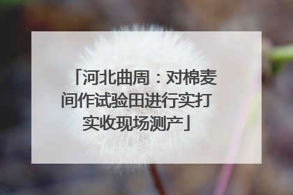 河北曲周：对棉麦间作试验田进行实打实收现场测产