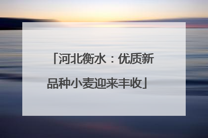 河北衡水：优质新品种小麦迎来丰收