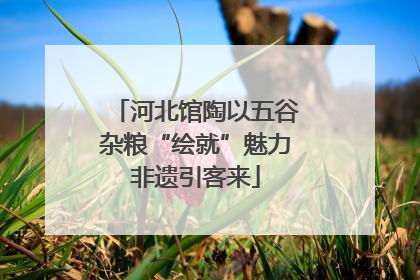 河北馆陶以五谷杂粮“绘就”魅力非遗引客来