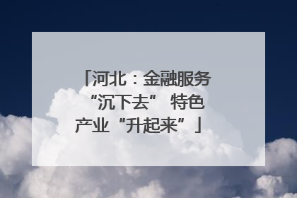 河北：金融服务“沉下去” 特色产业“升起来”
