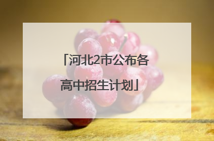 河北2市公布各高中招生计划