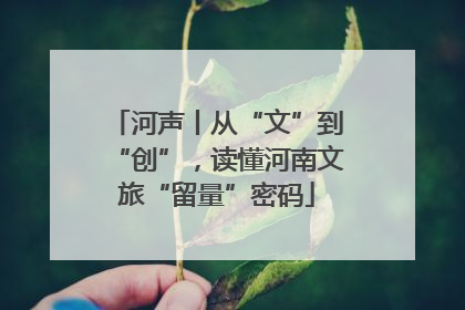 河声丨从“文”到“创”，读懂河南文旅“留量”密码