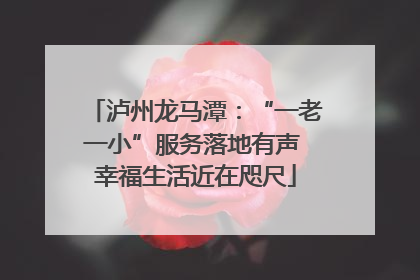 泸州龙马潭：“一老一小”服务落地有声 幸福生活近在咫尺