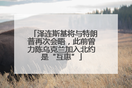 泽连斯基将与特朗普再次会晤，此前曾力陈乌克兰加入北约是“互惠”
