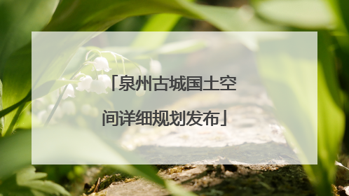 泉州古城国土空间详细规划发布