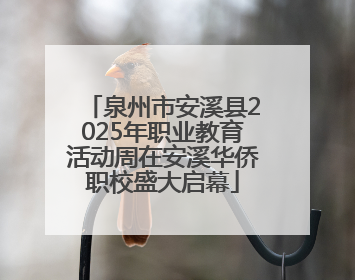 泉州市安溪县2025年职业教育活动周在安溪华侨职校盛大启幕