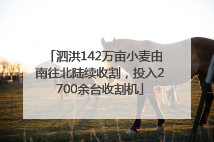 泗洪142万亩小麦由南往北陆续收割，投入2700余台收割机