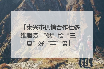 泰兴市供销合作社多维服务 “供”绘“三夏”好“丰”景