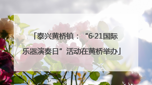 泰兴黄桥镇：“6·21国际乐器演奏日”活动在黄桥举办