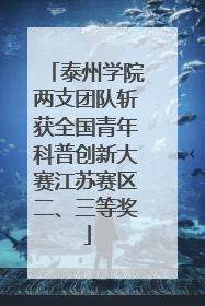 泰州学院两支团队斩获全国青年科普创新大赛江苏赛区二、三等奖