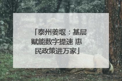 泰州姜堰：基层赋能数字提速 惠民政策进万家