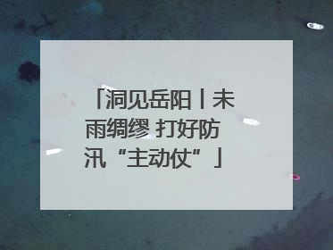 洞见岳阳丨未雨绸缪 打好防汛“主动仗”