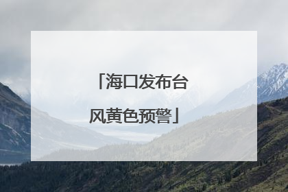 海口发布台风黄色预警