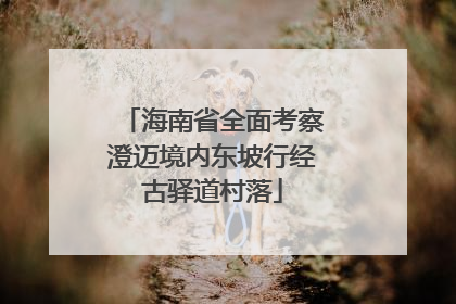 海南省全面考察澄迈境内东坡行经古驿道村落