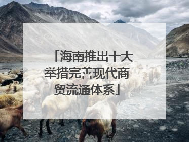 海南推出十大举措完善现代商贸流通体系