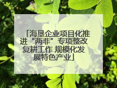 海垦企业项目化推进“两非”专项整改复耕工作 规模化发展特色产业