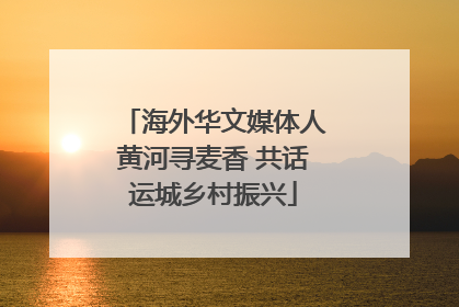 海外华文媒体人黄河寻麦香 共话运城乡村振兴