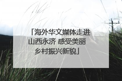 海外华文媒体走进山西永济 感受美丽乡村振兴新貌