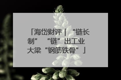海岱财评｜“链长制” “链”出工业大梁“钢筋铁骨”