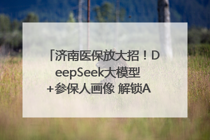 济南医保放大招！DeepSeek大模型+参保人画像 解锁AI医保管家新体验