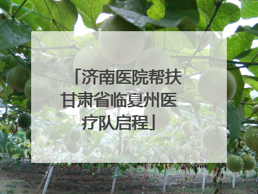 济南医院帮扶甘肃省临夏州医疗队启程
