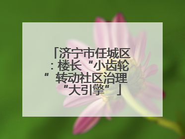 济宁市任城区：楼长“小齿轮”转动社区治理“大引擎”