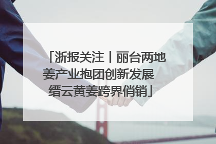 浙报关注丨丽台两地姜产业抱团创新发展 缙云黄姜跨界俏销