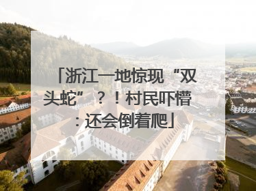 浙江一地惊现“双头蛇”？！村民吓懵：还会倒着爬