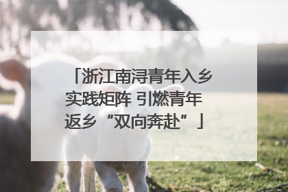 浙江南浔青年入乡实践矩阵 引燃青年返乡“双向奔赴”