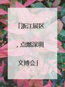 浙江展区，点燃深圳文博会