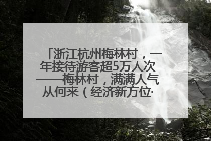 浙江杭州梅林村，一年接待游客超5万人次——梅林村，满满人气从何来（经济新方位·农村消费观察）